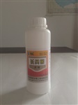 长贝菌
