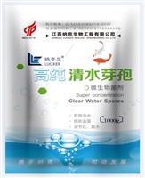高纯清水芽孢