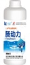 肠动力